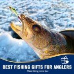 Dovesun Ice Fishing Jigs and Spoons Kit