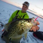 Northland Tackle Tungsten Gill-Getter Jig 1/28 OZ