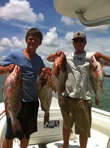 Wild Caught 2LB Red Grouper from Florida