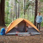 4-Person Orange/Grey Dome Camping Tent