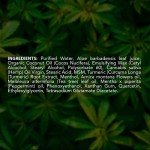 Maximum Strength Hemp Cream with Menthol Relief