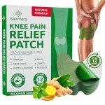 Extra Strength Herbal Pain Relief Patches - 12 Count