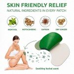 Extra Strength Herbal Pain Relief Patches - 12 Count