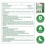 Extra Strength Herbal Pain Relief Patches - 12 Count