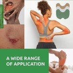 Extra Strength Herbal Pain Relief Patches - 12 Count