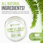 FOXLEAF Hemp Oil Balm for Pain Relief 2 OZ