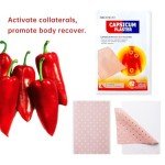 24 Capsicum Heat Plaster Pain Relief Patches