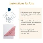 24 Capsicum Heat Plaster Pain Relief Patches