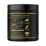 Organic Mushroom Enhanced Pre-Workout Powder - Strawberry Guava