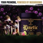 Organic Mushroom Enhanced Pre-Workout Powder - Strawberry Guava