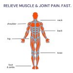 Blowfish Sport Pain Relief for Athletes - 4 Pack