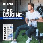 Scivation Xtend Original BCAA Pain Relief Cream