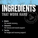 Animal Recovery Chews for Quick Muscle Repair