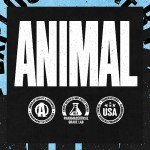 Animal Recovery Chews for Quick Muscle Repair