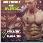 Mammoth Labs Sugar-Free Muscle Recovery Drink