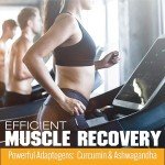 Post-Workout Gummies for Muscle and Joint Support