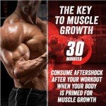 Muscle Growth Post Workout Protein Powder - Fruit Punch