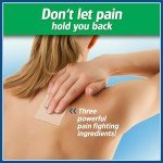 Salonpas Pain Relief Patches for Back and Muscle Soreness