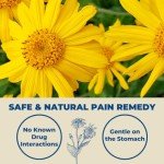 Arnica Montana Quick Dissolve Tablets for Pain Relief
