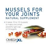 OmegaXL Natural Joint Support & Pain Relief 60 Soft Gels
