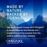 OmegaXL Natural Joint Support & Pain Relief 60 Soft Gels
