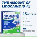 Maximum Strength Lidocaine Pain Relief Patches - 18 Count