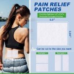 Maximum Strength Lidocaine Pain Relief Patches - 18 Count