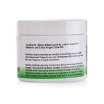 Dr. Christopher's 2-Ounce Comfrey Pain Relief Ointment