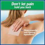 Salonpas Large Pain Relief Patches - 6 Count