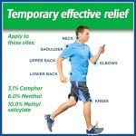 Salonpas Large Pain Relief Patches - 6 Count