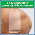 Salonpas Large Pain Relief Patches - 6 Count