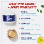 Blue Goo Pain Relief Gel with Emu Oil 4 oz