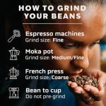 NESCAFÉ BARISTA Signature Medium Roast Coffee Beans