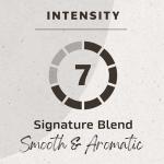 NESCAFÉ BARISTA Signature Medium Roast Coffee Beans