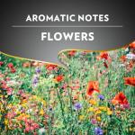 Lavazza Espresso Barista Perfetto Whole Bean Coffee 1kg