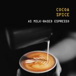 Rave Coffee Mocha Java Blend Whole Beans 250g