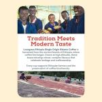 Ethiopia Sidamo Medium Roast Whole Bean Coffee 250g