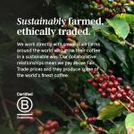 Variety Blend Coffee Pods - 60 Compostable Capsules