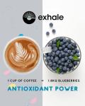 EXHALE Organic Decaf Coffee Beans, 450g