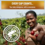 Coffee Masters 100% Arabica Espresso Blend 1kg