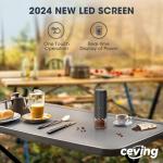 Portable Battery Coffee Grinder with 38 Settings