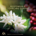 L’OR BARISTA Double Lungo Coffee Capsules - Intensity 8
