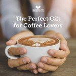 Climate Change Award-Winning Organic Coffee - 4 Packs