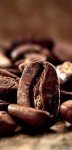 Napoli Italian Dark Roast Coffee Beans, 6kg