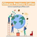 Freshly Roasted Indian Mysore Arabica Coffee Beans