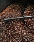 Freshly Roasted Indian Mysore Arabica Coffee Beans