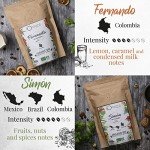 Organic Coffee Beans 1kg | Artisan Roasted Arabica