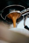 Brazilian Santos Light Roast Whole Coffee Beans 500g