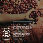 Brazil Bobolink Light Roast Coffee Beans - 1kg