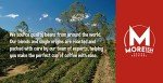 Colombian Huila Single Origin Coffee Beans 1kg